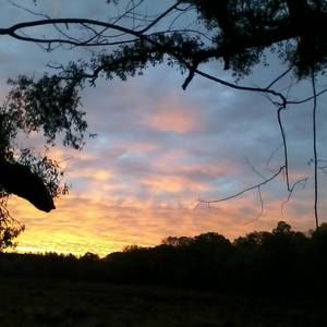 Meet your Posher, Margo